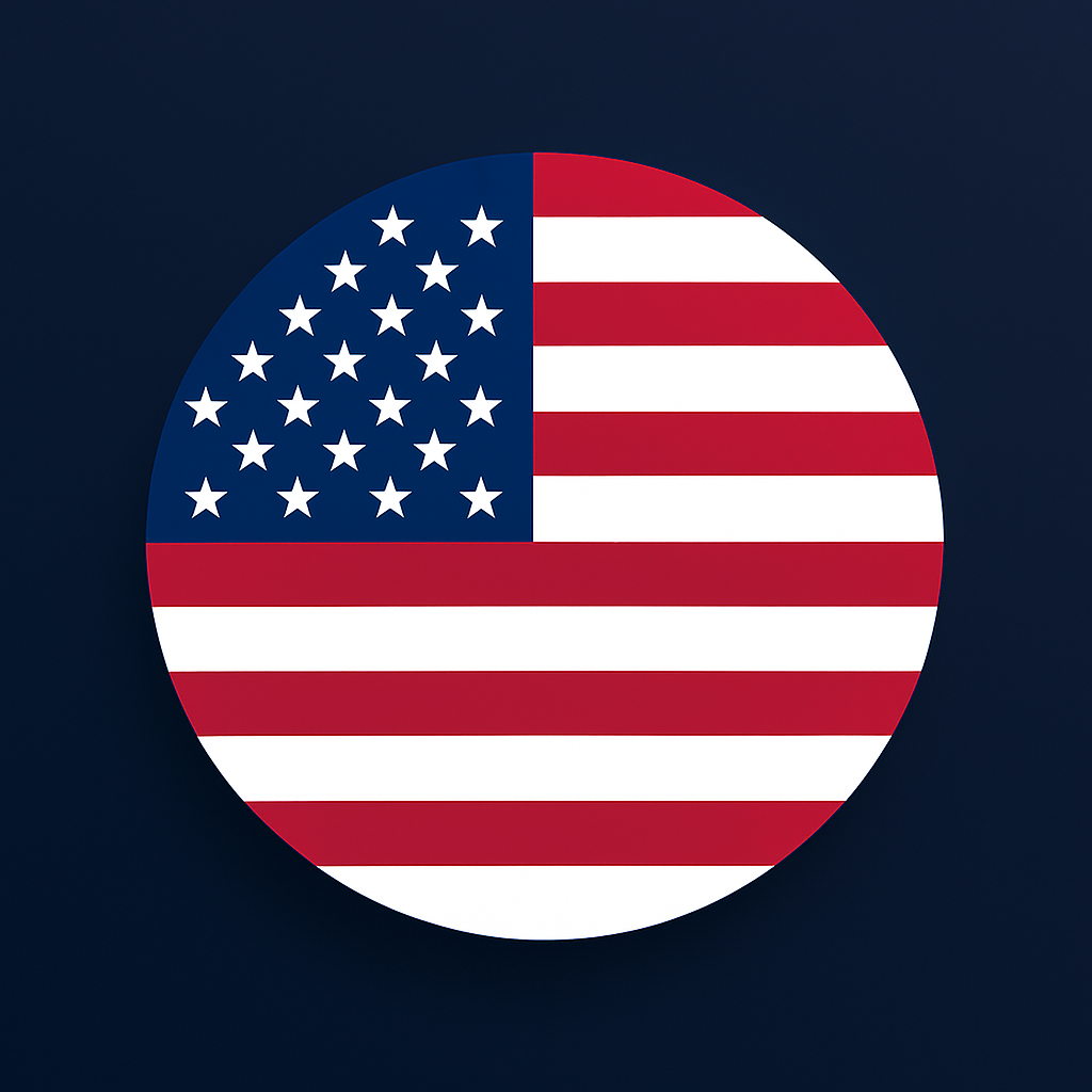 DigitUSA Solutions logo - USA flag